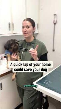 How to winter proof your home with Dr. Olga Lynn
