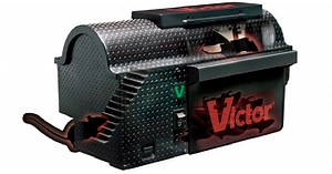 What a shock! Victor builds a better mouse trap