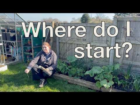 Pruning fruit bushes & restarting the compost heap