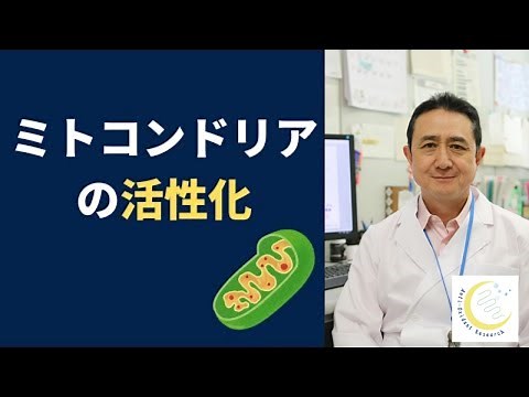 『ミトコンドリアのエネルギーと活性化』岐阜大学 抗酸化研究部門 特任教授 犬房春彦
