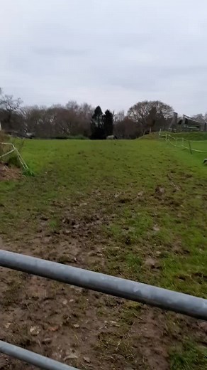 Andrea Cox on TikTok