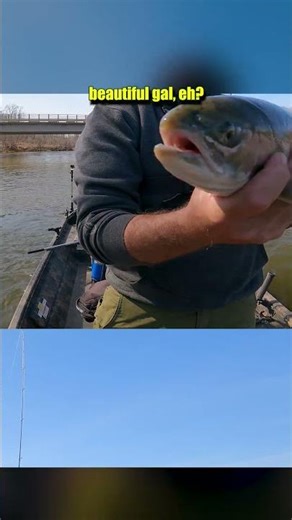 “River HENNY!” 🍯 Steelhead From Rainbow Bend to Highbridge 😮‍🔥🎣