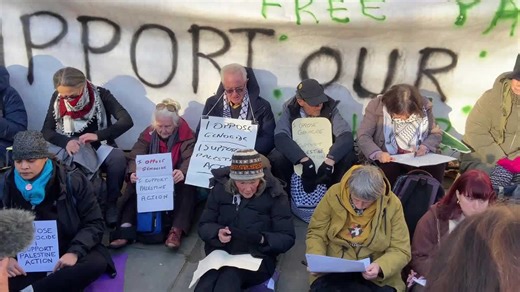 Police Arrest Palestine Action Supporters Outside Royal Courts Of Justice