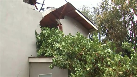 Family escapes after tree slices through DeKalb County home
