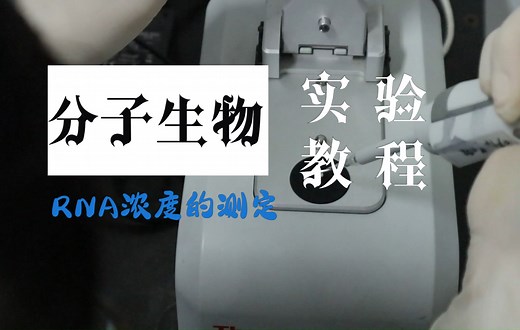 RNA浓度的测定