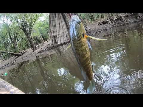 jefferies Creek fishing out the warrior one man boat