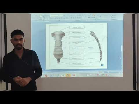 #Humam Skeleton system part 7#sternumbone #anatomy #by Drx.Akash Vishwakarma