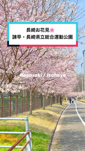 長崎の桜巡り🌸 見逃せないスポット