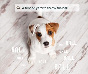 1K views | END OF YEAR RATES REDUCED! Come check out the Holiday...