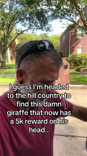 Brad0123 (@brad01235)’s video of giraffe
