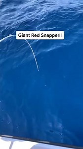 A Giant 20 pound red snapper we caught slow pitch jigging over 100 miles offshore! #redsnapper #snapperfishing #deepseafishing | Groupermvp