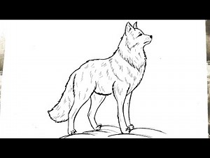 How to draw a wolf easy step by step || Wolf drawing tutorial