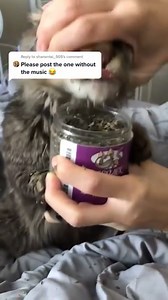 Watch Found on imgur. on Amazon Live