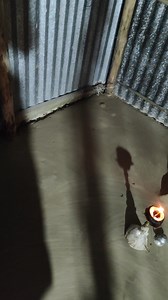 Ranjan Poddar on Reels