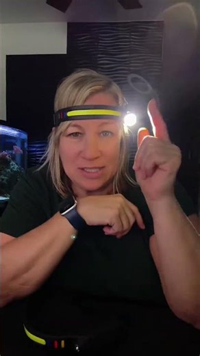 LED Headlamp Rechargeable flashlight for your head! Motion activated light