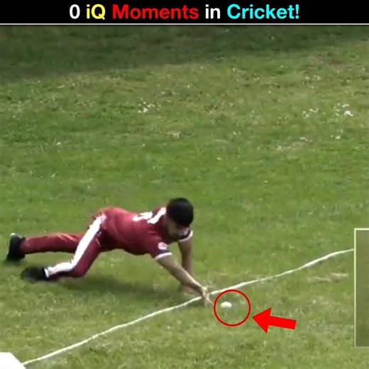 0 iQ Moments in Cricket..! 🤐 #cricketshorts