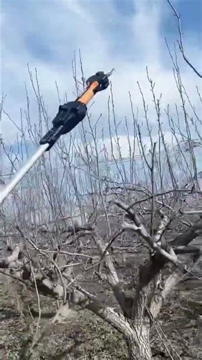 Efficient Electric Pole Pruner for Easy Tree Trimming 🌳✂️ #GardeningTools #TreePruning #ElectricPrun