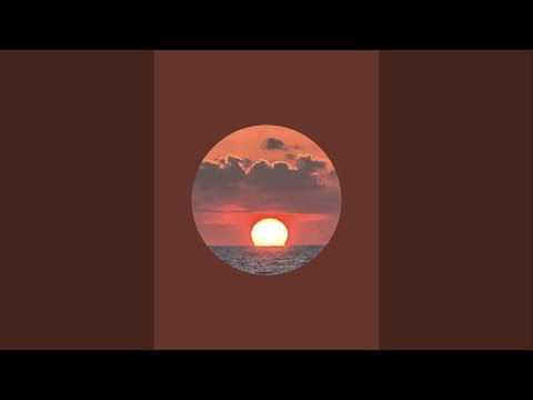 Live Trading QQQ Tesla Options Call Put Shartes AMC SER buy now