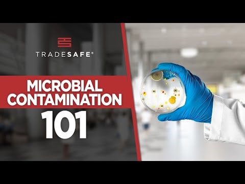 What Is Microbial Contamination? Types & Prevention