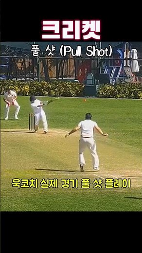 Cricket pull shot play #cricket #cricketlover