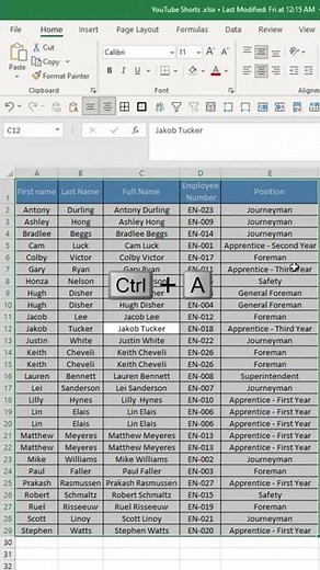 Colouring Alternate rows | Colour Banding | Zebra Lining in Excel