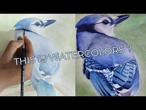 Best Watercolor Techniques for Painting Blue Jays