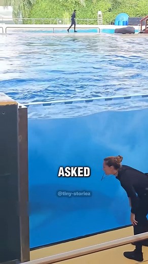 Nobody expected this from the orca 🥰❤️ | Narrator Speech