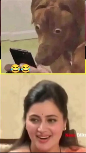 yahi h wo mem saheb 😂🤣 #trending #shorts #youtube #funny #viral