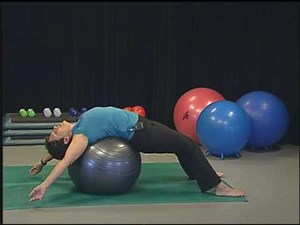 Fun Fitness: Stability Ball (2010)