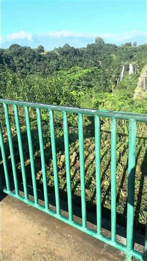 Ruby princess Hawaii cruise day 9 final port in Hawaii