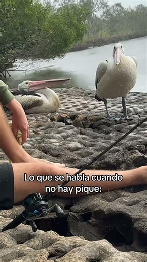 Que sea bajo la lluvia para que no se noten las lágrimas 🎣