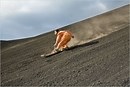 Volcano Boarding Anyone?