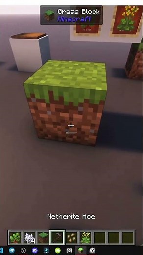 WHERE TO FIND WILD CABBAGE IN MINECRAFT WITH FARMER'S DELIGHT