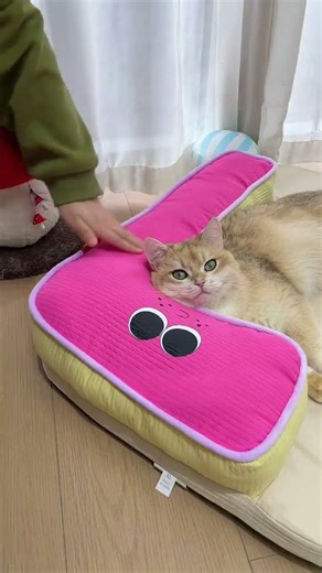 Dual Color Square Cat Bed | Blue-Beige & Pink-Beige