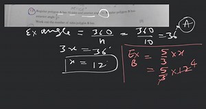 13) Regular polygon A has 10 sides and exterior angle 3x. Regul... | Filo
