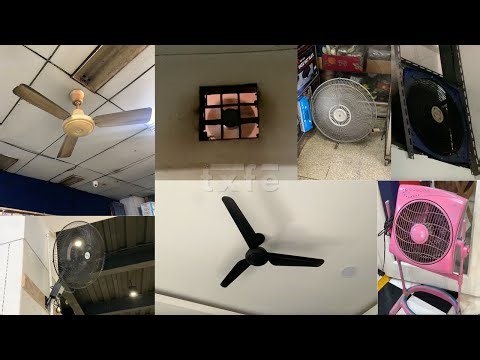 Fan Public Sightings pt. 6