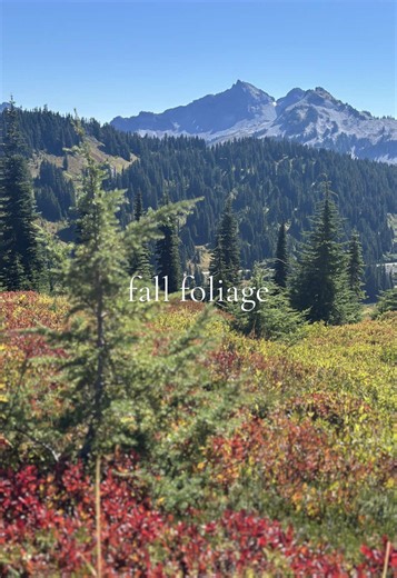 Mt Rainier fall foliage 2026: where to see autumn colors now