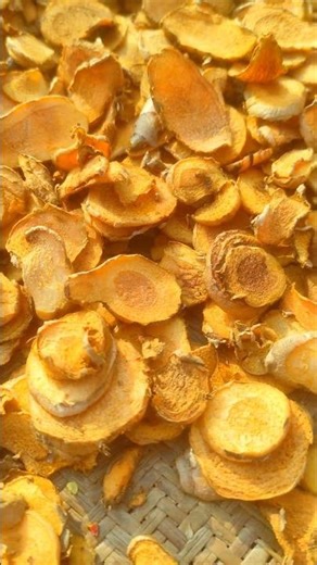 Turmeric sun drying process 🧡