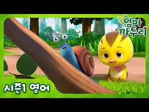 [영어자막] 느릿 느릿 달팽이! (Snail's Dream) | 엄마 까투리 | 시즌1 제30화
