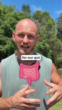 Why Crash Diets Wreck Your Gut, Hormones & Metabolism