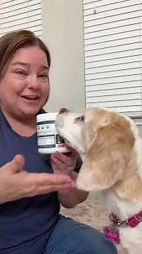 Flea and Tick Prevention for Dogs Chewables - Natural Dog Flea and Tick Treatment - Oral Control Pil