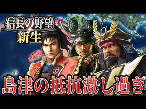 【信長の野望・新生】島津の猛反撃に総力戦で挑む！！【徳川家康上級プレイ】 #24