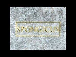 SpongeBob Voice Acting #210: Spongicus