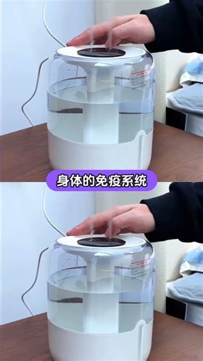 The Surprising Truth About Humidifier Water Types