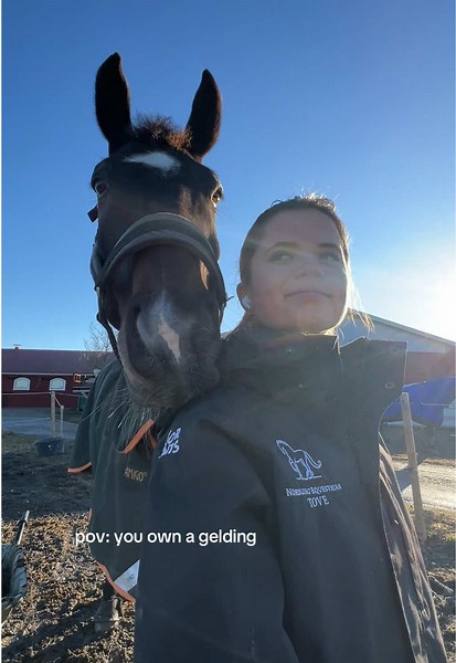 He’s like obsessed with me 😌💅 #dressage #equestrian #horses #equestrianlife #SWB