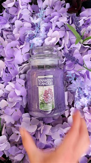 This weekend only, Fragrance Family Rewards members get 50% off storewide! Sign in or sign up to save at Yankee Candle. | Yankee Candle