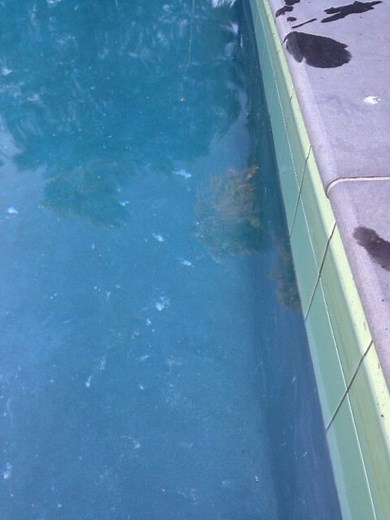 Quartz swimming pools | Things you must know before you buy