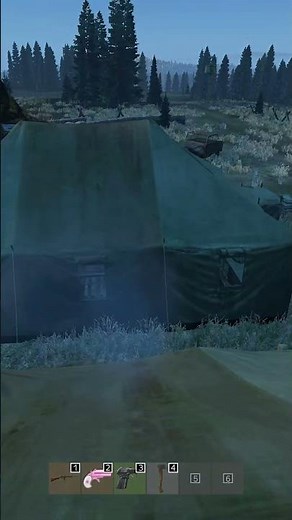 When DayZ Descends Into Total Chaos