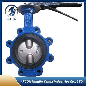 [Hot Item] Ductile Iron Body Butterfly Lug Type Liner Butterfly Valve
