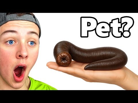 He Bought a LEECH as a PET!
